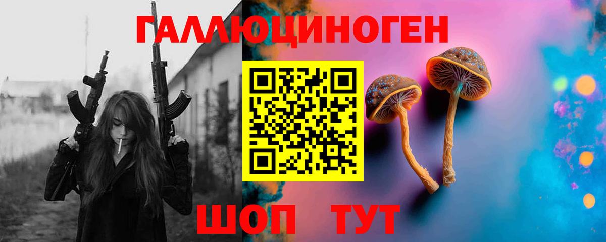 Галлюциногенные грибы Cubensis  Вход с VPN  Елабуга  Галлюциногенные грибы прущие грибы 