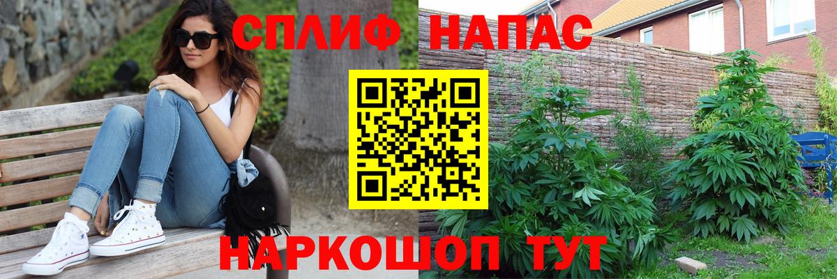 МАРИХУАНА план  Конопля White Widow  Елабуга  Вход с VPN 